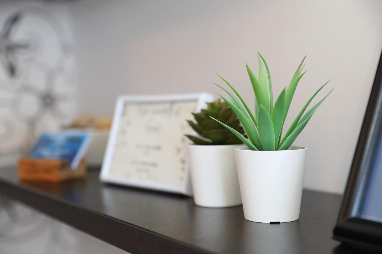 Apartment Zanov Preko Zewnętrze zdjęcie